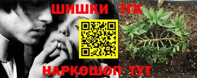 трава Новозыбков