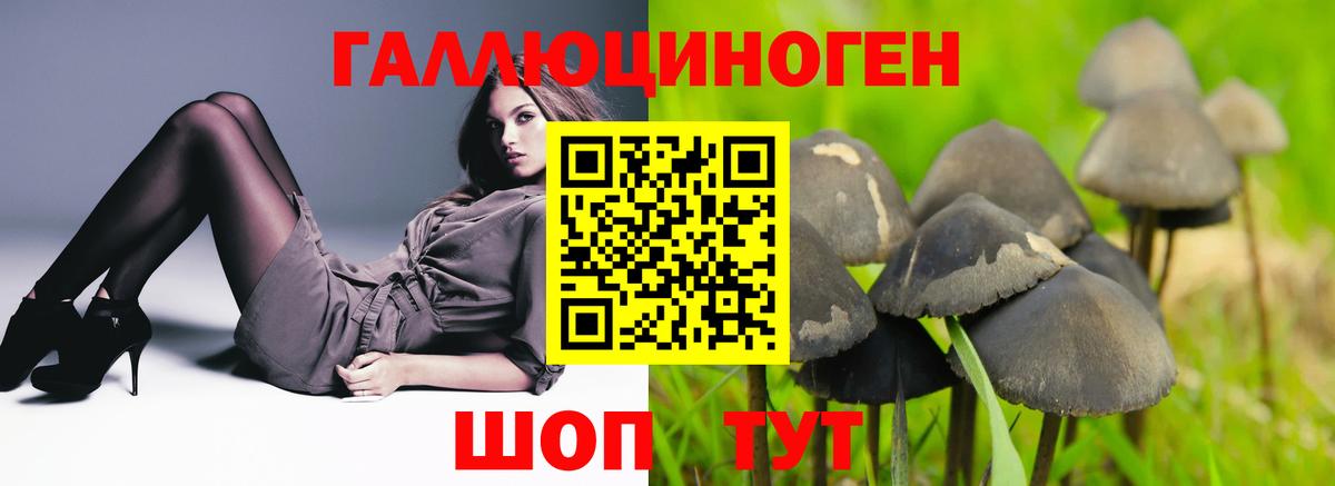 Новотроицк  Псилоцибиновые грибы GOLDEN TEACHER  Вход с VPN 